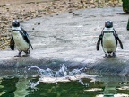 131-zoom adventure world - gelsenkirchen - park