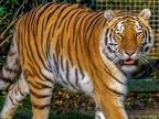 232-zoom adventure world - gelsenkirchen - park