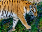 238-zoom adventure world - gelsenkirchen - park