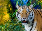 242-zoom adventure world - gelsenkirchen - park