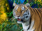245-zoom adventure world - gelsenkirchen - park