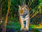 253-zoom adventure world - gelsenkirchen - park