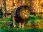 1154-zoom adventure world - gelsenkirchen - park-lion