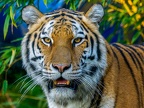 1166-zoom adventure world - gelsenkirchen - park-tiger
