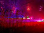 013-essen-grugapark-park lights-2024