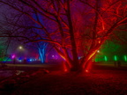 020-essen-grugapark-park lights-2024