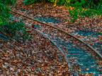 007-essen grugapark botanical garden