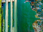 008-essen grugapark botanical garden