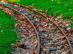 041-essen grugapark botanical garden